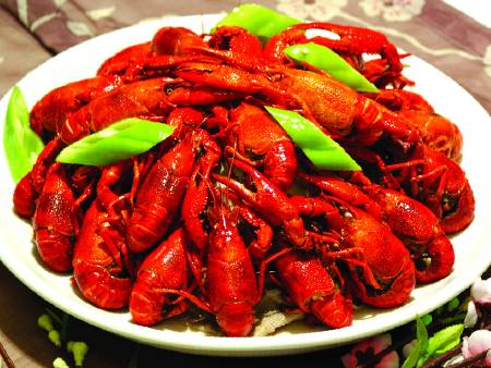 小龍蝦　肺吸蟲(chóng)