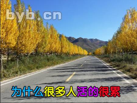 為什么很多人活的很累？